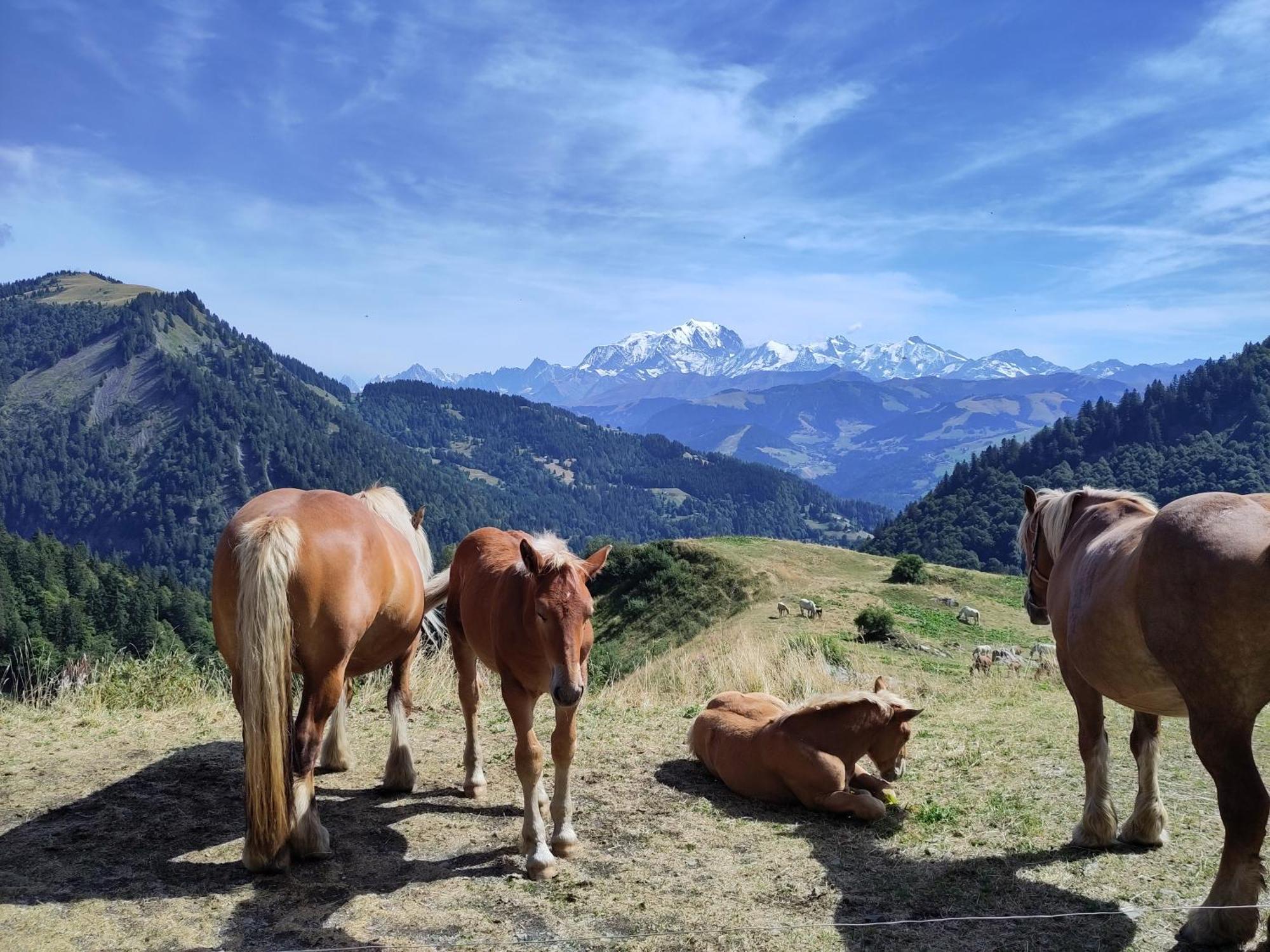 Logement Entre Lac Et Montagnes Thônes Exterior foto